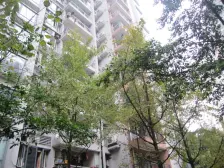 店长推荐:石坪桥森林小区骏逸新视界大三房出售