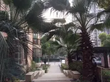 电梯房,大开间,环境优美,居家装修