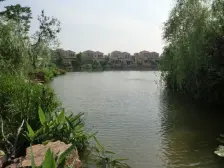 精装修独栋别墅 保养好 北进门南花园边套