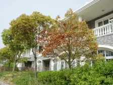 边套大花园 诚心卖 看房有钥匙 位置好 诚售