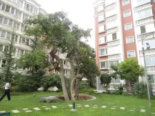 万达广场 金地花园 南北通透H户型 中 间楼层