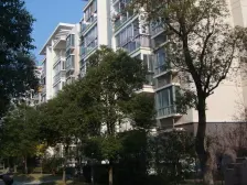 凤凰城毛坯复式 无限创作空间