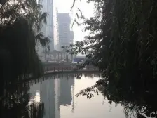 天鹅湖北苑 1室0厅 北