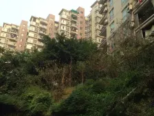 石马河 菲尔小城一房68万