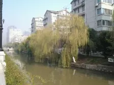 此套房南北格局 楼层好 采光好!!