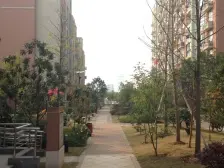 高新大道满庭春 南北通透,采光好 装修好,环镜优美 周边匹套完善,,出行方便