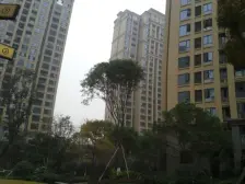 建发金沙里 1室0厅 东南