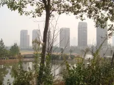 独栋别墅 院子在1亩左右 精装在住