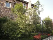 长青湖边独栋别墅,带大花园,3个车位,花园近200平米