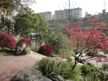 坡岭顿小镇独栋别墅,花园面积200多平米 精装修