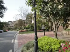 茶园新区 坡岭顿小镇六房551万