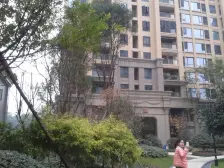 建发金沙里 1室1厅 南