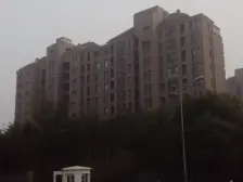 高层大三房 视野开阔 俯瞰小区美景 眺望上海三件套