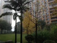 北滨路 招商江湾城四房190万