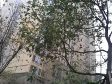 建发金沙里 1室1厅 东南