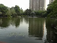 天骄B区东南向复式四房 实用面积大房美价优带两个车位