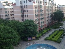 新荔湾花苑 房子过五年税费低 采光充足 诚心出售