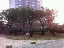 一线江景房,房间户型规整板正,采光性和通透性好