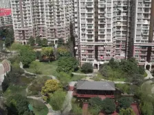 菊园 3室2厅 东南