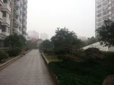 品质物业 精装 电梯房 现场实勘,业主诚意