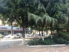 东泰花园风云汇 1室0厅 北
