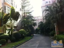 满五不唯一,精装修小区环境好 低楼层 低密度 配套齐