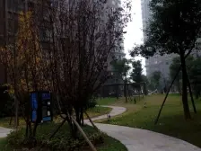 龙湖物业+品质精装四房+看高尔夫