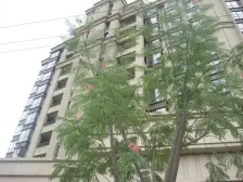 新江湾城 · 橡树湾 · 1室 · 2厅
