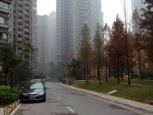 鸳鸯 复地天玺二房148万