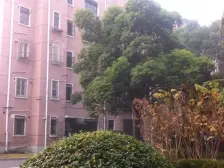 大三房户型 双南全明 总价低 诚意出售