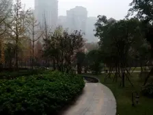 鸳鸯 复地天玺二房100万