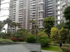 保利2套打通卖 实用296方 装修几百万