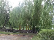 新上房源,近地铁,小区C位,豪装大复式,送大露台