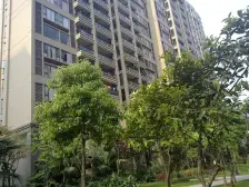 此房户型方正 近地铁 采光通透 满五唯一