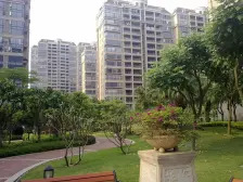 中海万锦豪园 中层单位 望花园