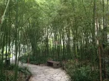 人和 金科天湖美镇二房120万