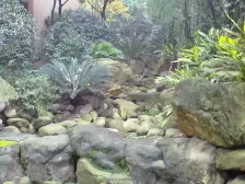 北部新区 爱加丽都二房