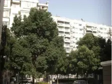 带超大院子,利用率高,看房随时有密码,通透全明,近3条轻轨!