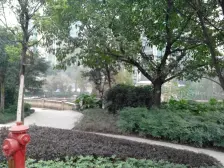 大坪 恒大名都四房225万