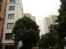 新凯一期 2室2厅 南 北