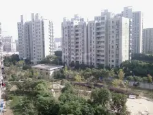 三林·金橘新苑-尚博路799弄·1室·1厅