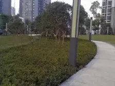 汽博商圈 品质小区 精装三房 家具家电齐全 拎包入住