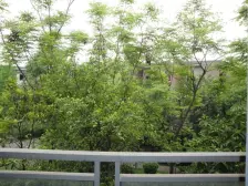 童家溪 中安翡翠湖一期A区四房250万