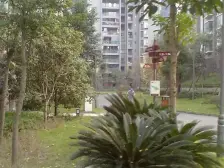 轻轨旁纯清水大3房+高楼层+视野开阔+交通方便