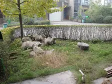 童家溪 中安翡翠湖传承三五房195.7万