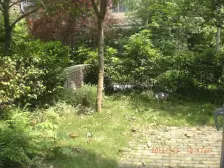 中安纯别墅小区的联排,带车位,带花园。