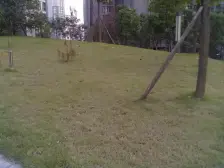 大众尚岭花园 3室2厅 西北 东北