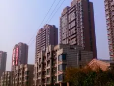 新上前排公园景观房,车位另算,天然氧吧,直面阳光