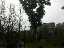 国奥村精装大三房,一线看江看高尔夫,无遮挡