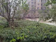 泗泾新凯家园二期两室一厅带阁楼
